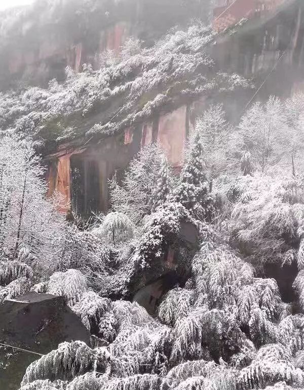 来看雪景!泸州今冬第一场雪来了!