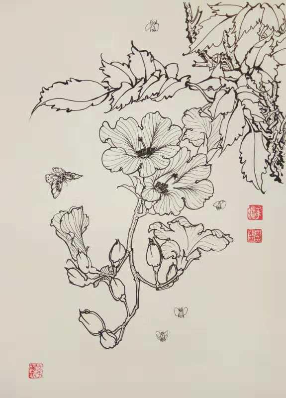 12,叶志军的钢笔画第七百八十五幅——凌霄花(中性笔白描花卉习作)11