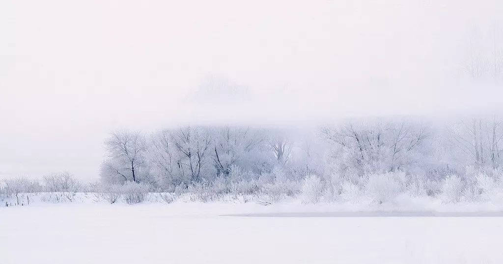 今天,好冷艳而诗意的雪景!有人目睹一只雪鸟飘过天空