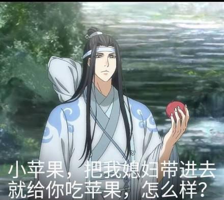 魔道祖师表情包:确认过眼神,这是我媳妇