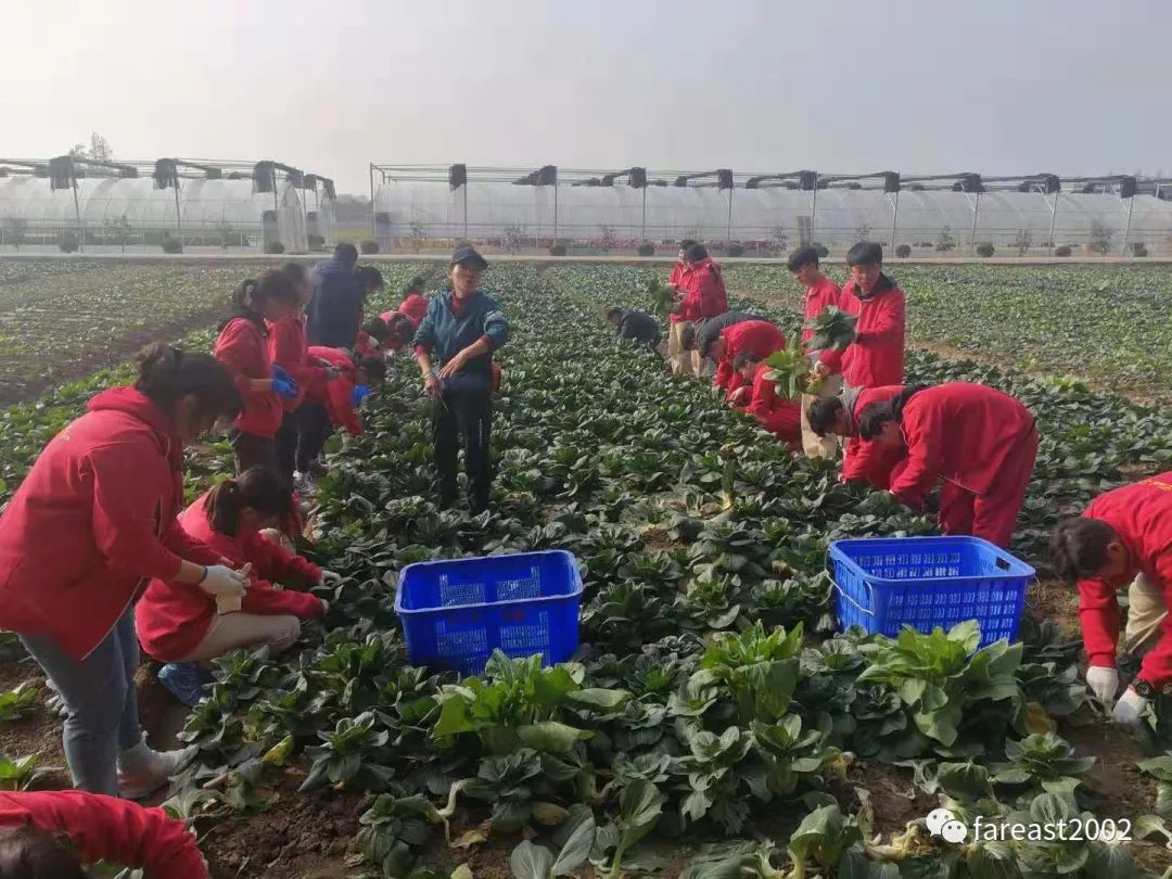 5天的学农活动丰富多彩,上午学生们跟着辅导员老师学习中国传统文化的