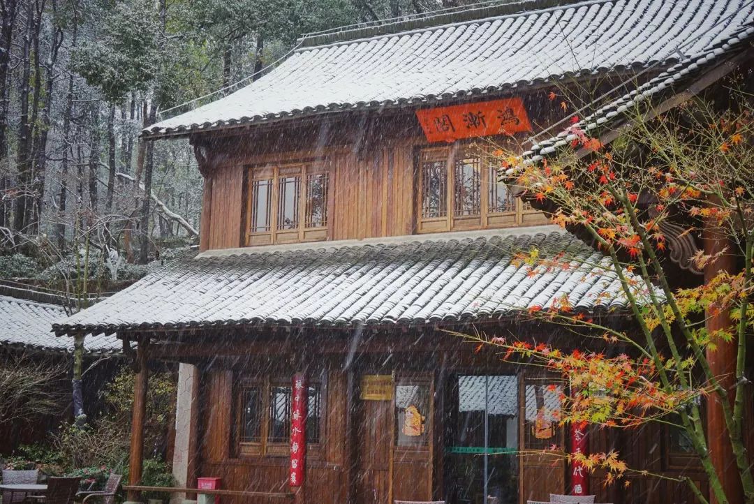下雪了快去中茶博龙井馆区撒子儿