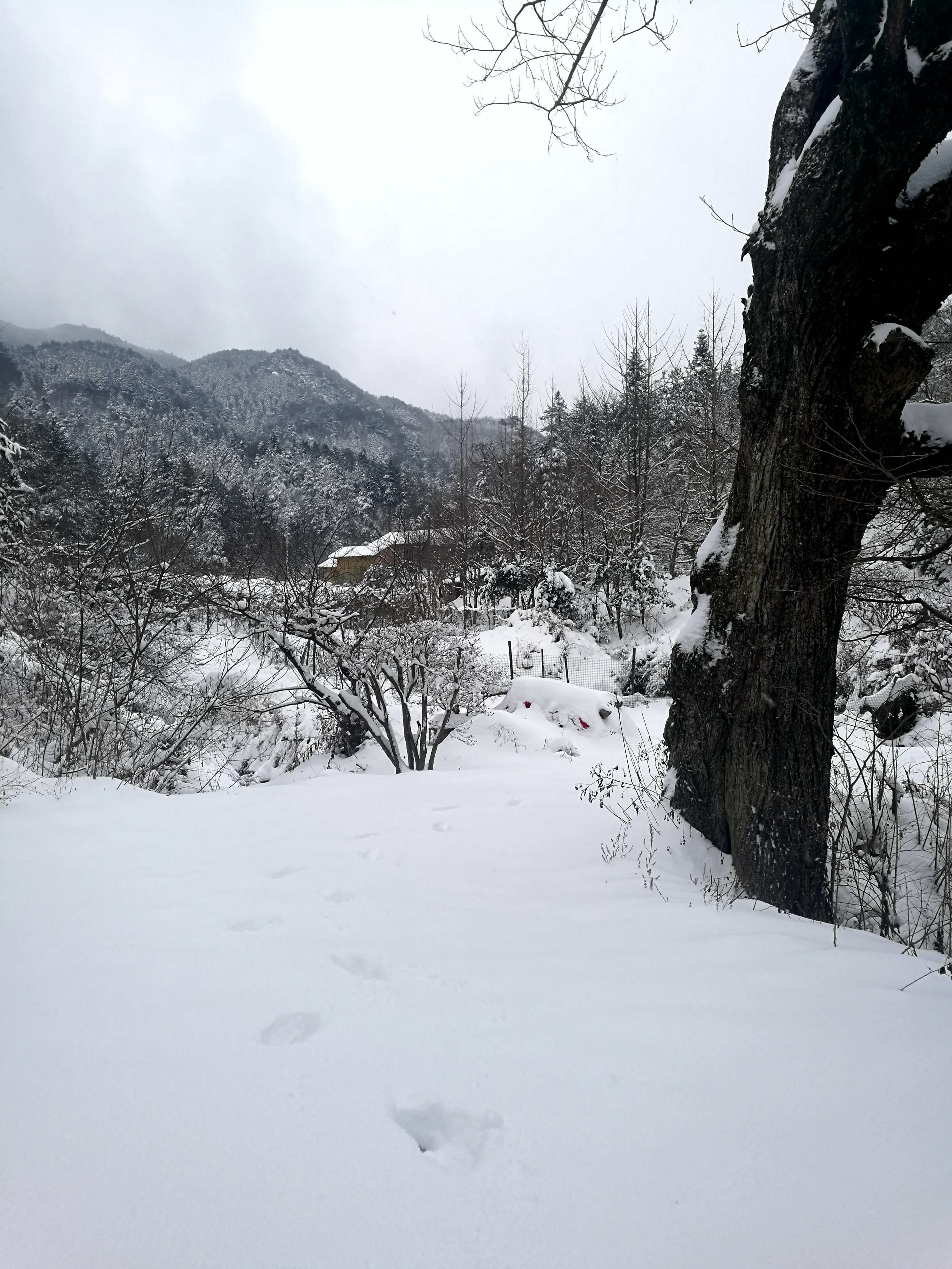 安徽下雪了,最美的雪在这里