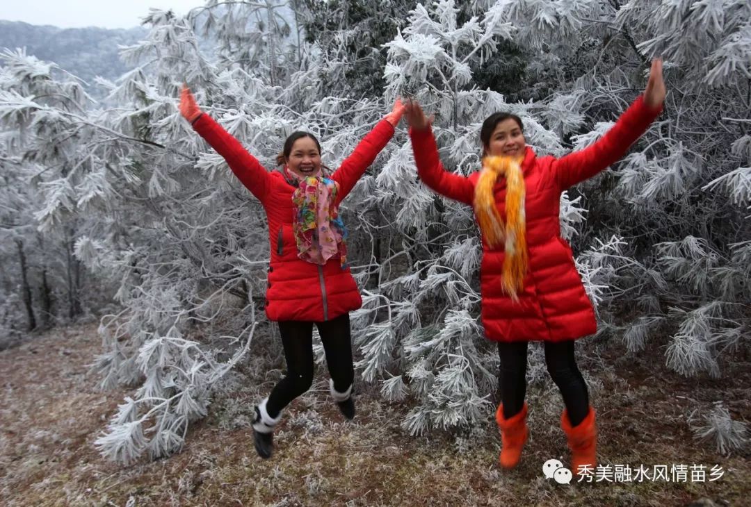 正值"大雪"时节,融水这里的美景绝对让你叹为观止.