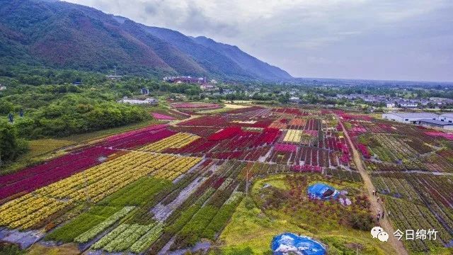 关注绵竹旅游再添新名片三个景点入选2018四川十大特色旅游品牌