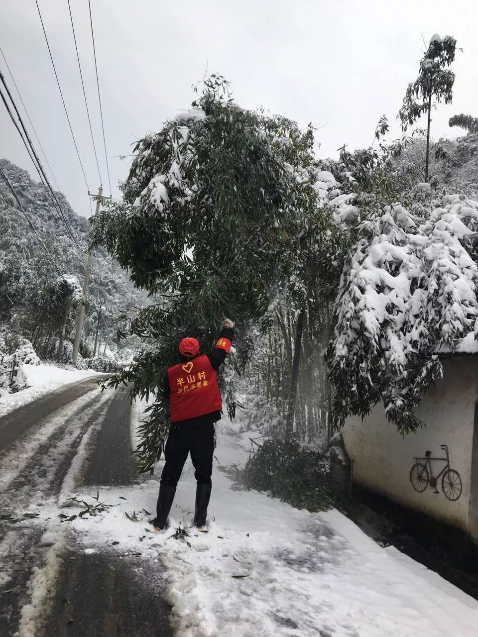 百丈镇就迎来了持续降雪,部分区域积雪深度达10至15厘米,其中仙岩村的