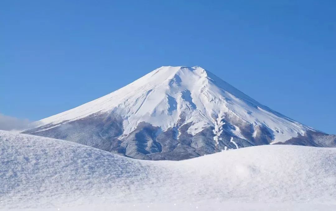 在富士山脚下尽情的享受冬日的快乐