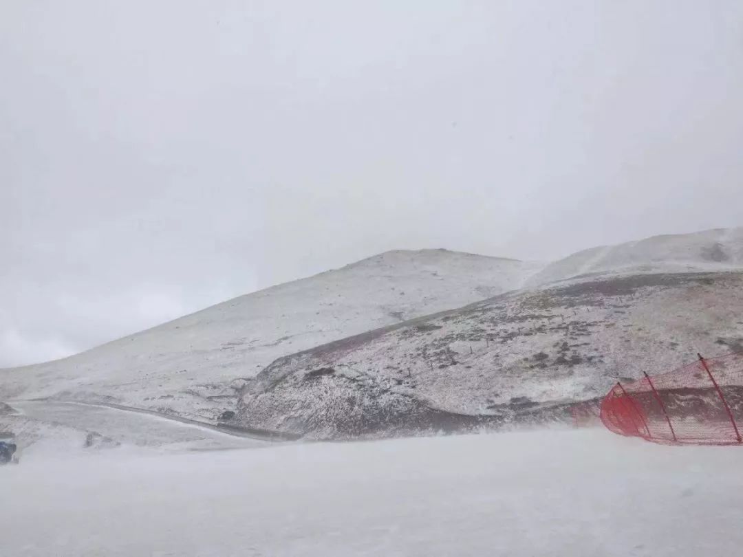 下雪了!今早会泽大海草山下雪了(视频 图)