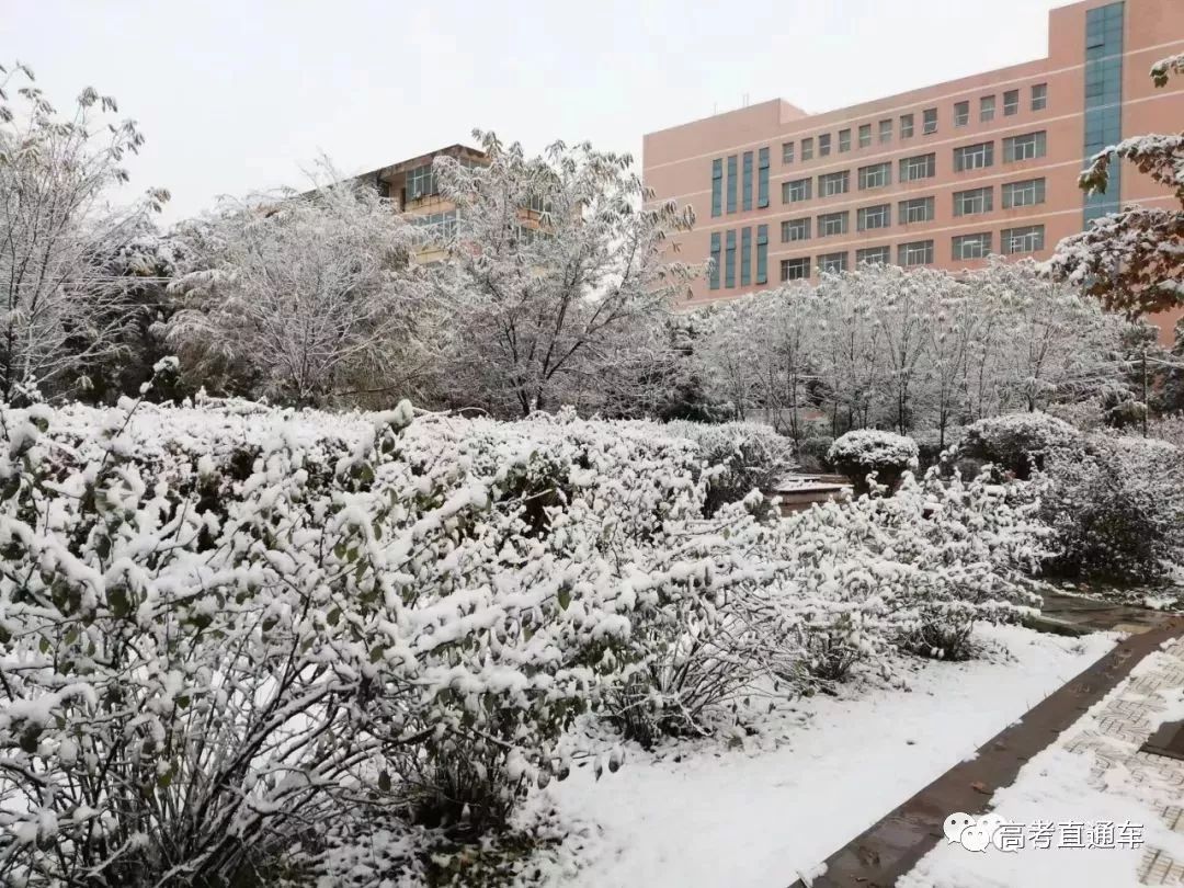 来源:甘肃农业大学 徐文清 来源:甘肃政法学院 李渝婵 来源:兰州工业