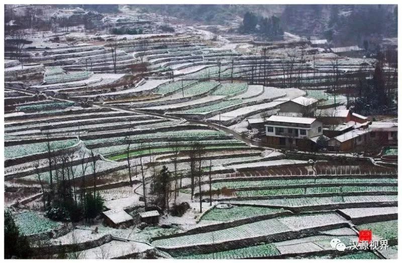 宁强县高寨子街道办薛家坝村梯田雪景.