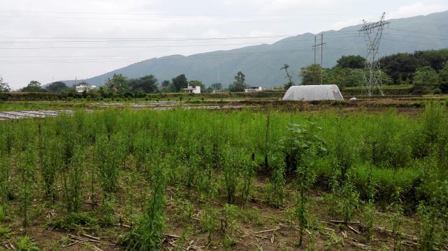 红军血染湘江的地方在这儿，好多人看的渡口并非是红军真过渡处