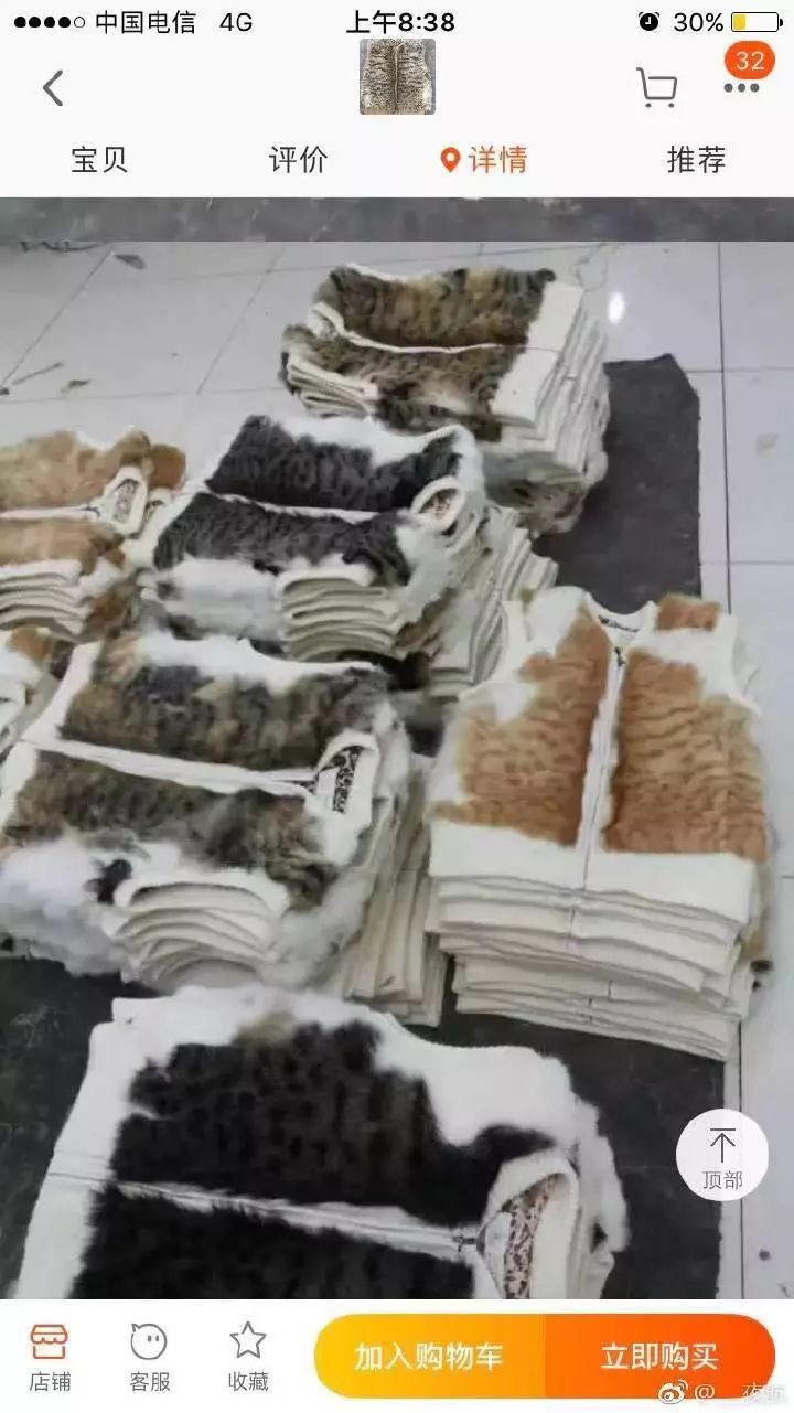 网上有人在卖猫皮草捕捉流浪猫后扒皮做背心