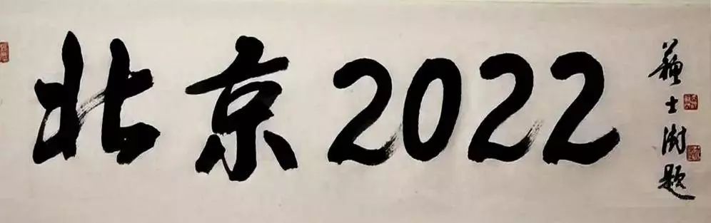 苏士澍为冬奥会题字,挥毫写下"北京2022"!