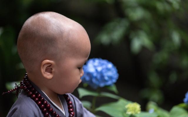 和尚年纪很大却长了一张婴儿般的脸，身穿道袍手持锡仗自称佛陀萨