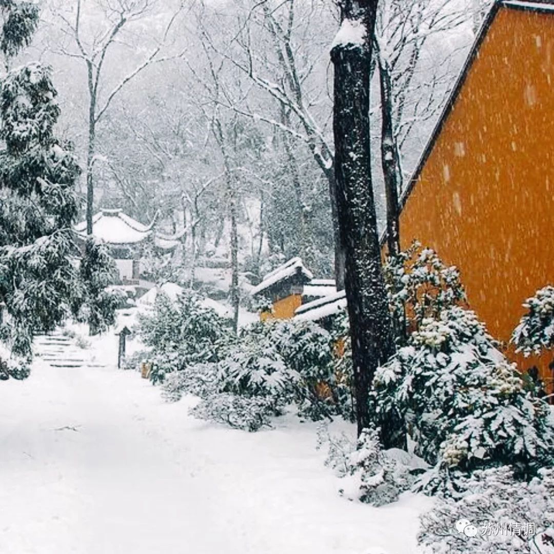 姑苏城的美惊艳了全世界,只因为下了一场雪!