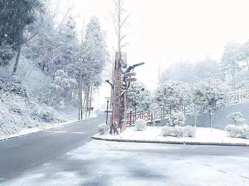 美爆了今冬广元雪