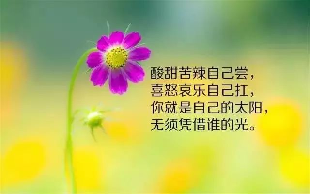 朋友圈非常走心的哲理心情短语 每一句都入心入肺