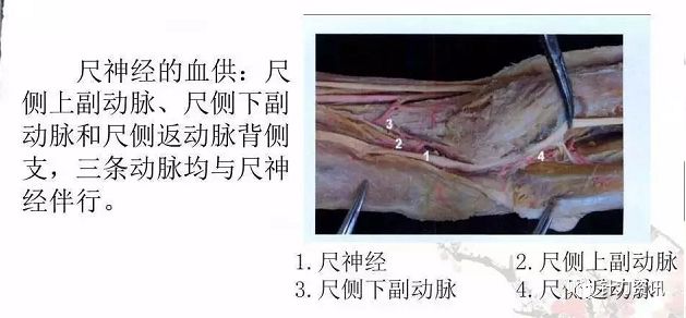 针刀疗法的原理_蓄元健康超微针刀疗法(2)