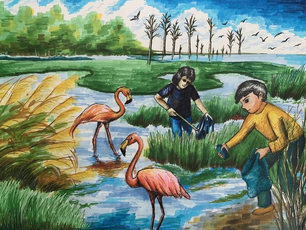 保护湿地绘画图片 珍爱环境保护湿地手抄报 小学生保护湿地绘画小学版