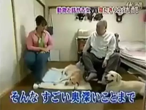 看護犬臨終突然哭叫，通靈師翻譯出了狗狗的遺言，主人淚如雨下…… 萌寵 第23張