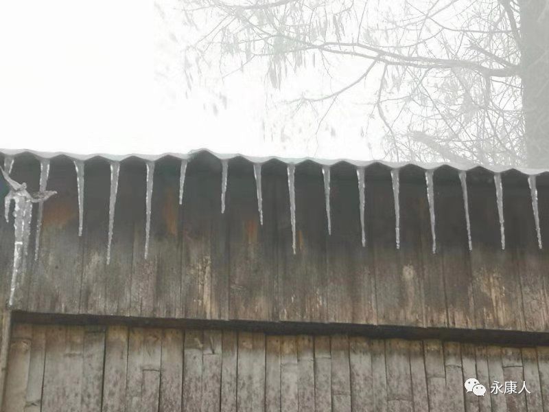 实时播报永康大寒山等多地开始下冻雨雾淞晶山银山来了