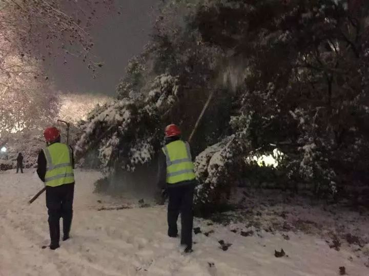 雪天封道，救護車上的爸爸命懸一線！網(wǎng)友發(fā)博求助，結(jié)果…初雪即將謝幕！浙江多地發(fā)布路面結(jié)冰預(yù)警！