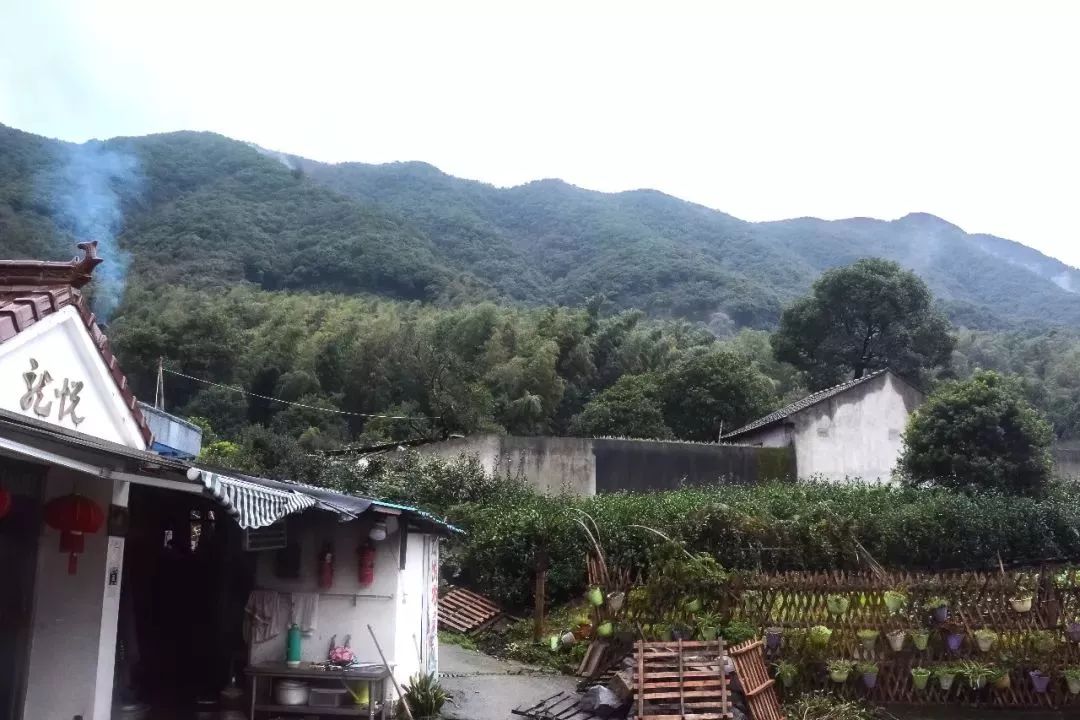 面朝横溪,背倚茶园的龙悦农家乐坐落在风吹竹林响的山坡上,早在15年就