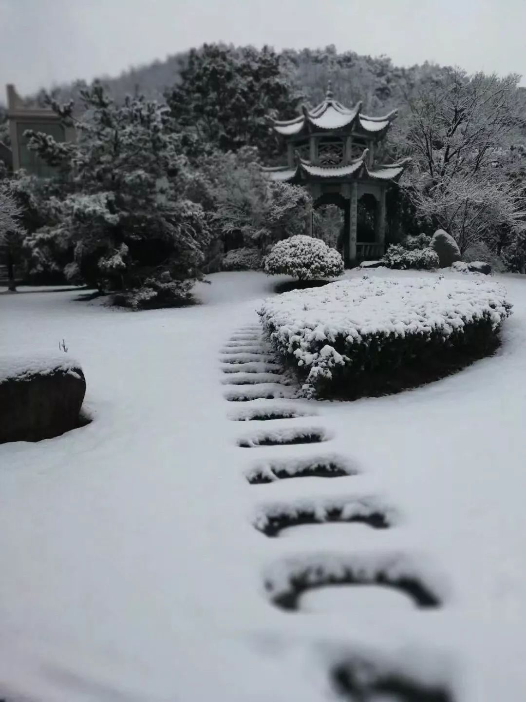 萧山十中 十中徐文太校长带领学生在校园进行道路清ǔ除雪.