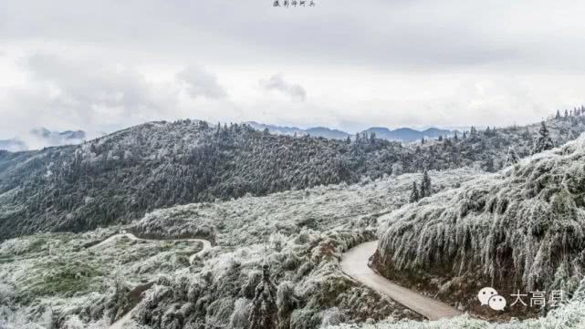 网友在大雪山拍下了美景,大雪山是宜宾出了名的雪景观赏地,每年冬季