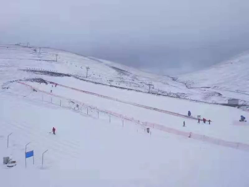 下雪了!今早会泽大海草山下雪了(视频 图)