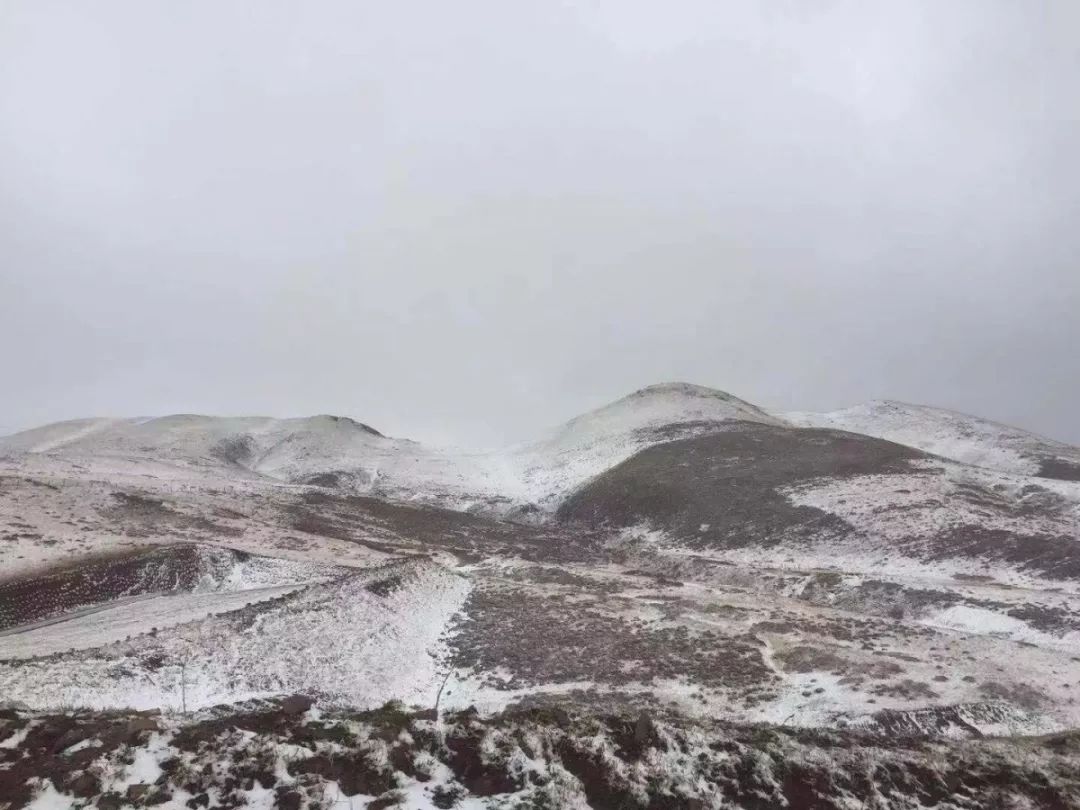 下雪了!今早会泽大海草山下雪了(视频 图)