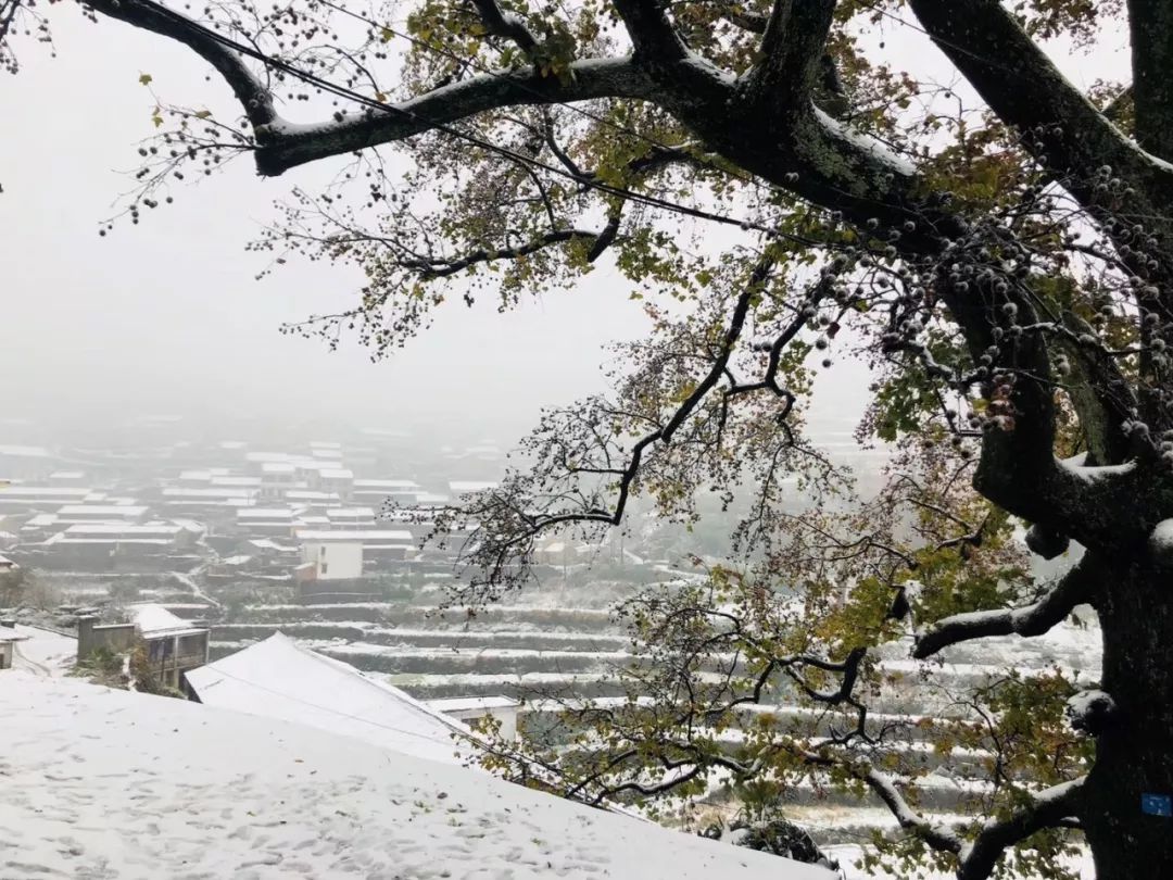 什么雪飘成语(3)