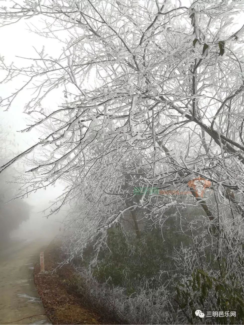 三明最冷0℃!部分地区将有雨夹雪,你准备好了吗?