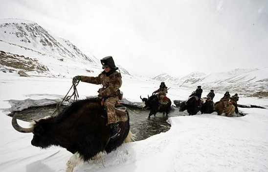 古代骑兵除了骑马还骑什么,你知道多少?(下)