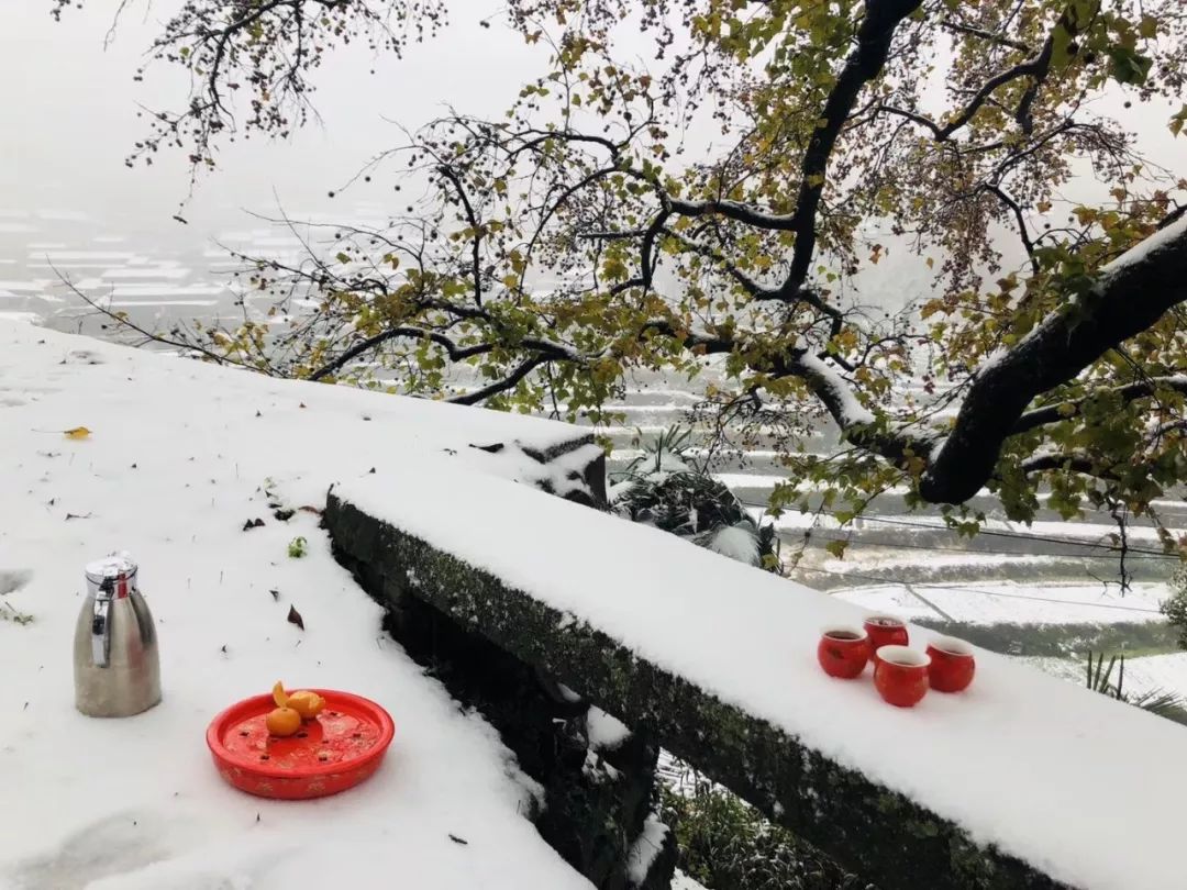 飘雪的宁波是什么模样?风花雪月,诗情画意,煮雪饮茶,闲话人生