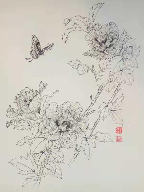 11,叶志军的钢笔画第七百八十七幅——芙蓉(中性笔白描花卉习作)10