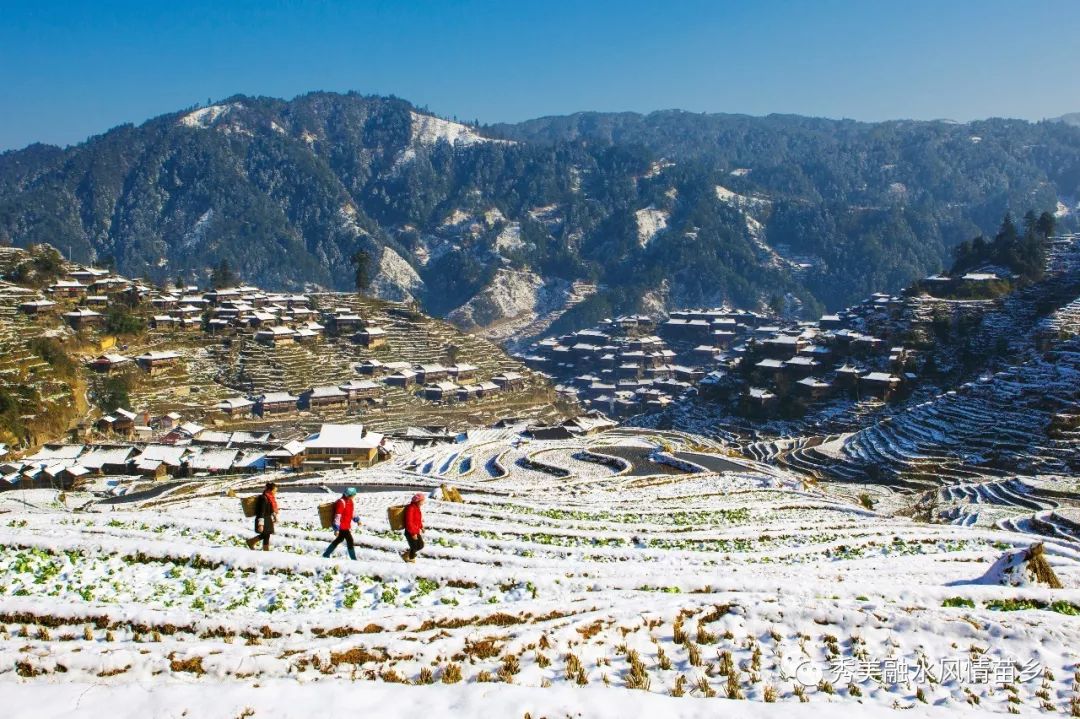 正值"大雪"时节,融水这里的美景绝对让你叹为观止.