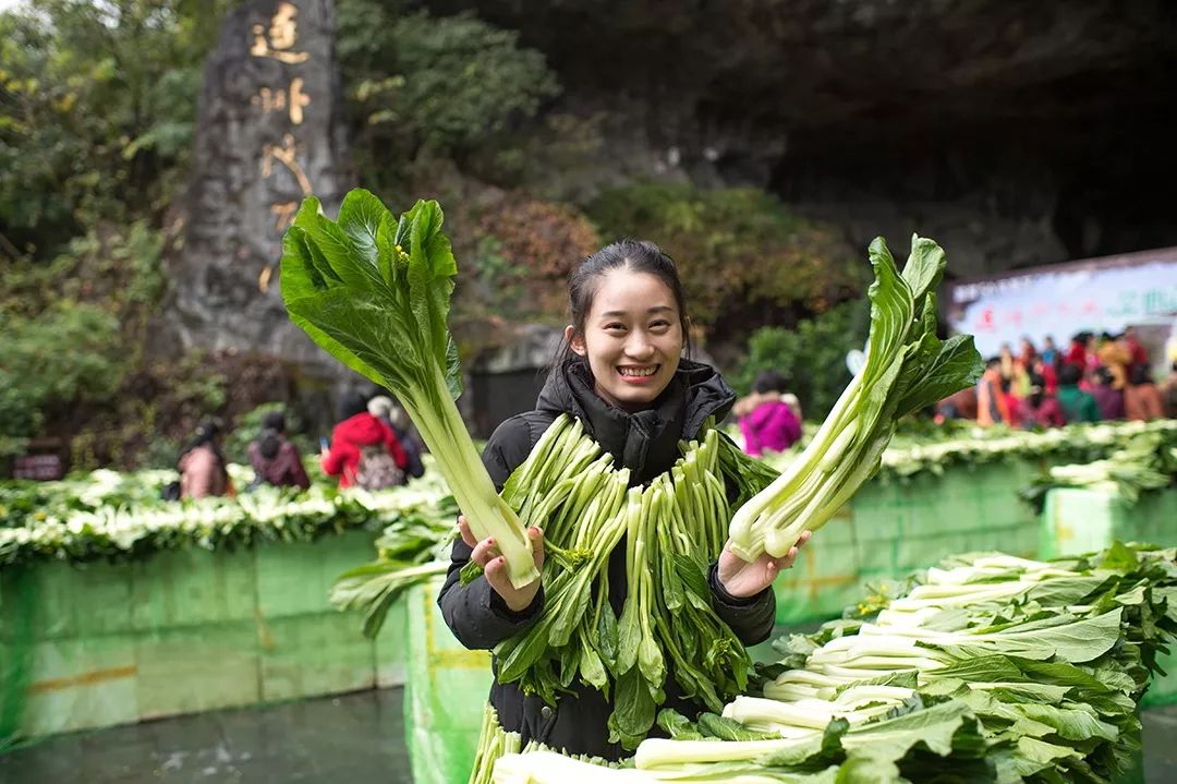 sos!连州地下河菜心嘉年华,10万斤连州菜心被抢空!