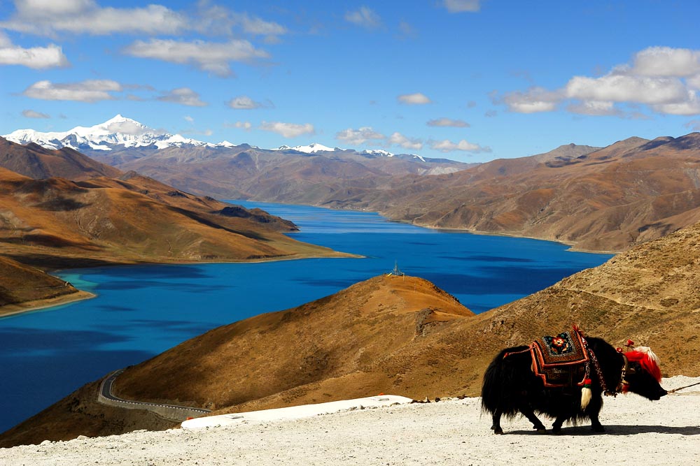 西藏旅行有哪些打卡地