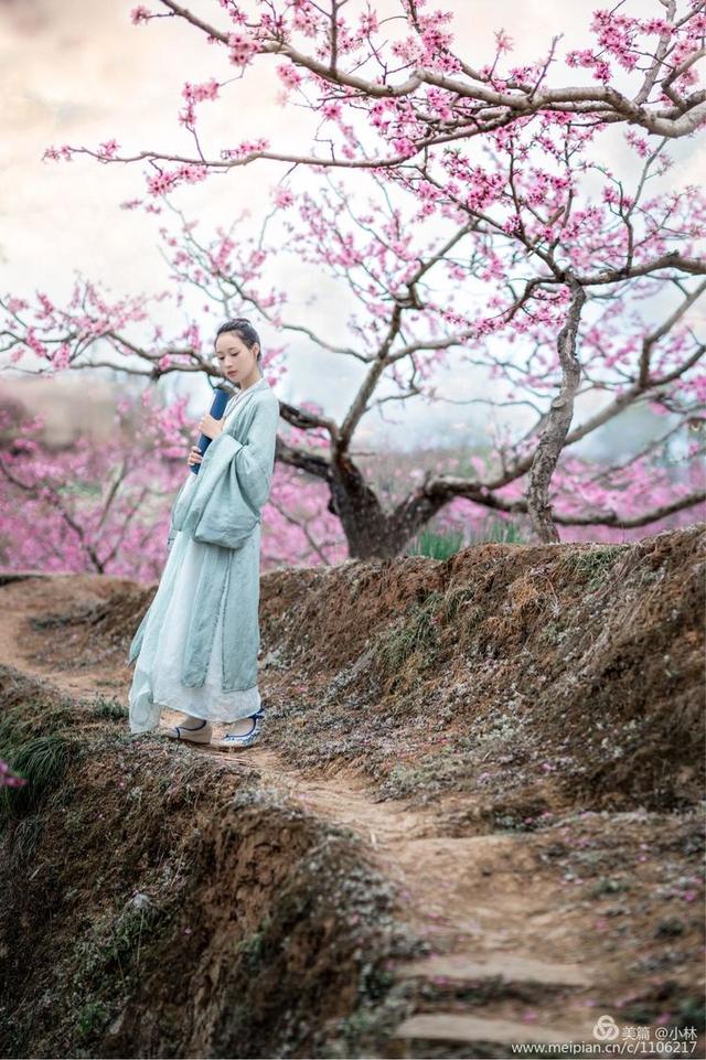 春风拂面来,十里桃花醉