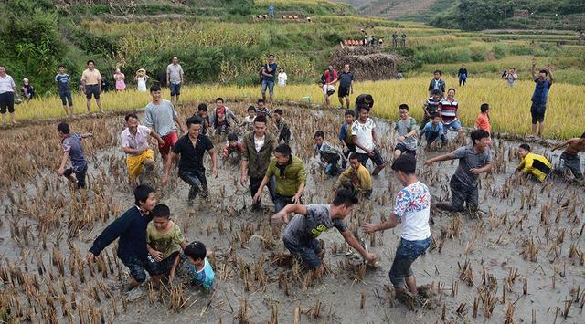 元江多少人口_元江地图(2)