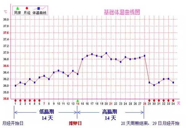 "排卵期"身体可能出现这3个"变化"!