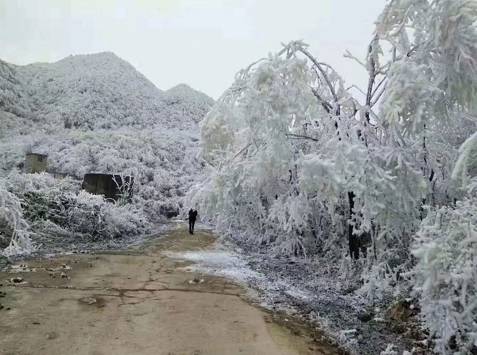 都匀雪景.网友@阿文 拍摄