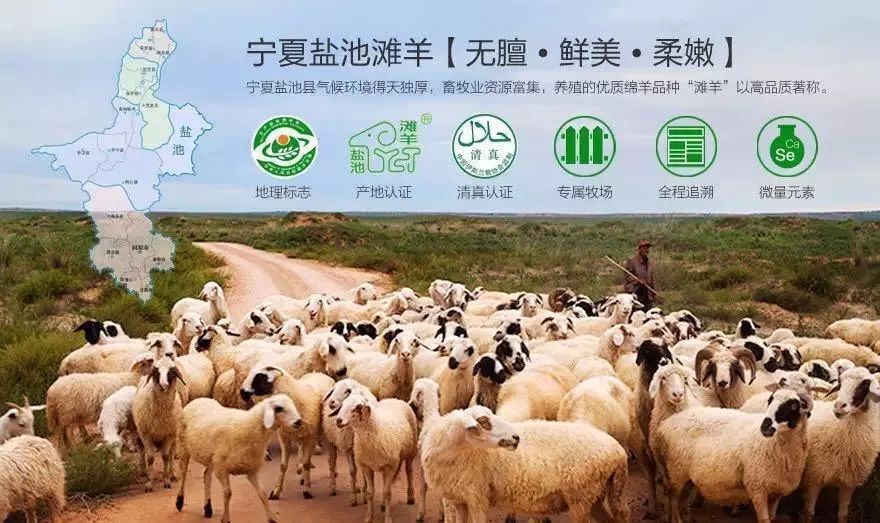 盐池滩羊,宁夏回族自治区盐池县特产,中国地理标志产品(地理标志