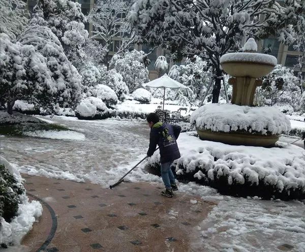 杭州入冬首迎大雪飞舞,滨江物业人日夜扫雪,业主爱心涌动,这是美雪