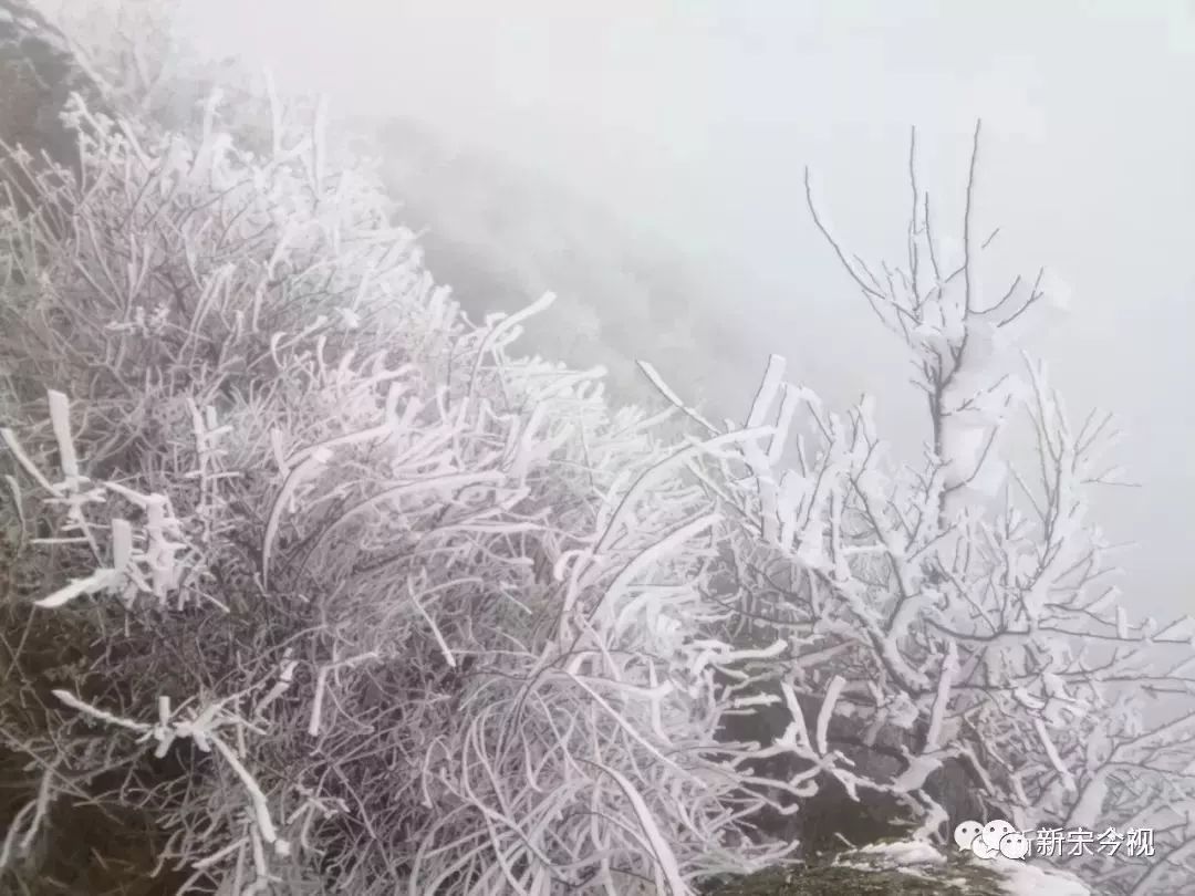 真的下雪啦快看看2018年最美雪景