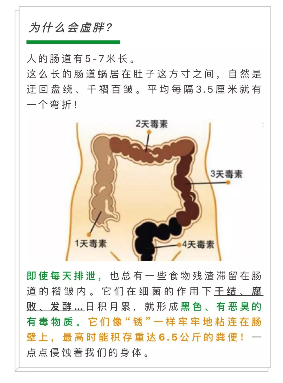 惊!肠道内竟能积藏13斤的垃圾,难怪你长斑长痘,虚胖浮肿!