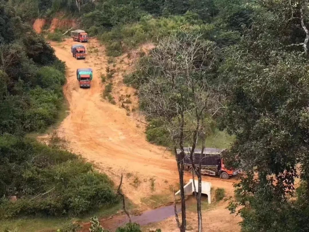 東南亞的紅木運輸方式，真是大開眼界… 生活 第2張