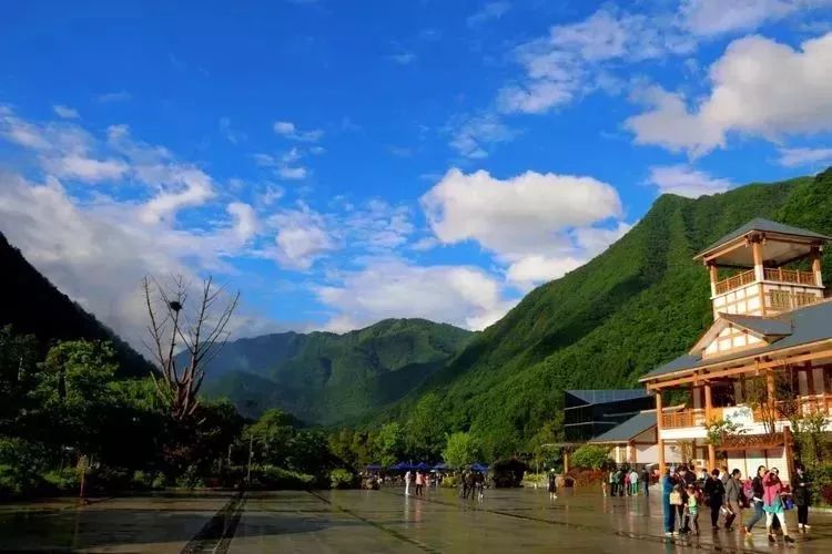 【喜讯】青川唐家河喜获《魅力中国城》年度魅力生态景区殊荣!