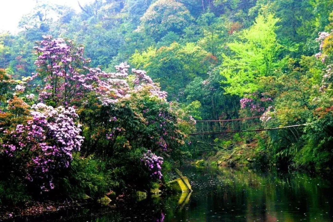 叫圣泉谷 在广西,有座最大最高的北回归线标志园,叫大明山